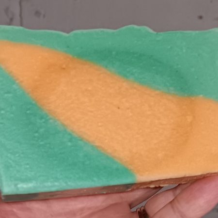 Shellabration - Dreamer