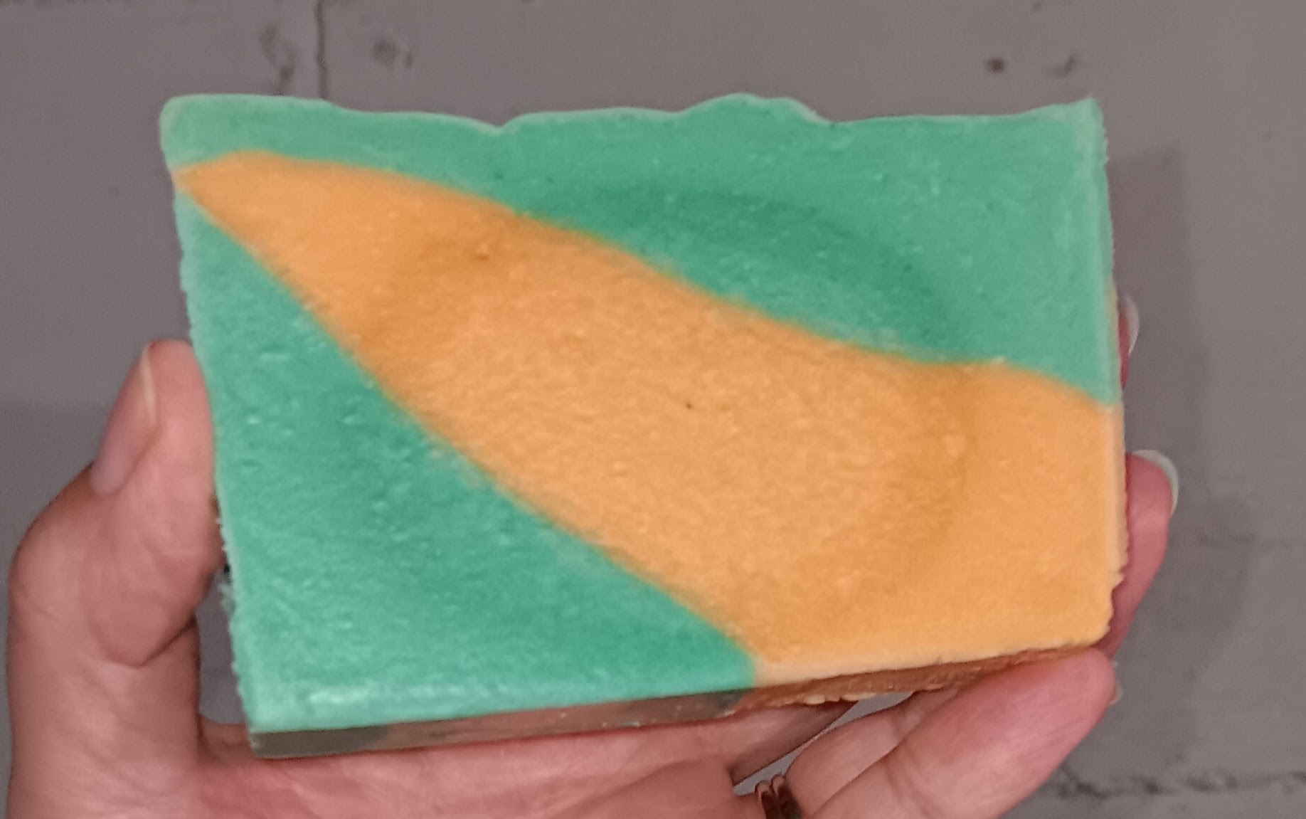 Shellabration - Dreamer