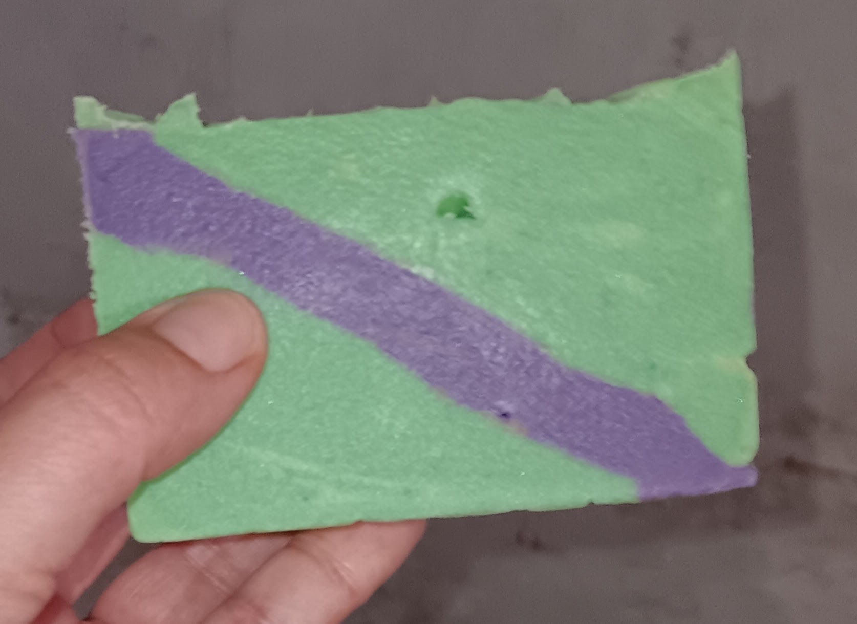 Shellabration - Innovator