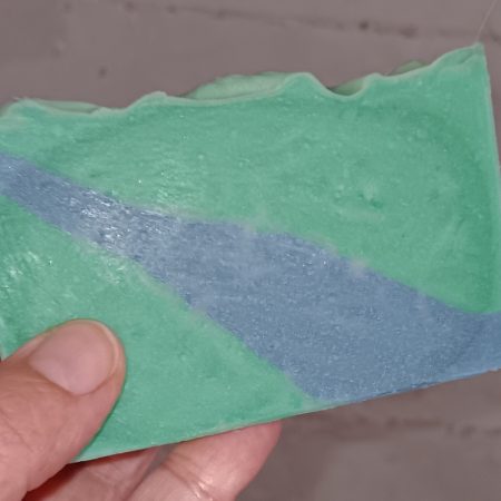 Shellabration - Leader