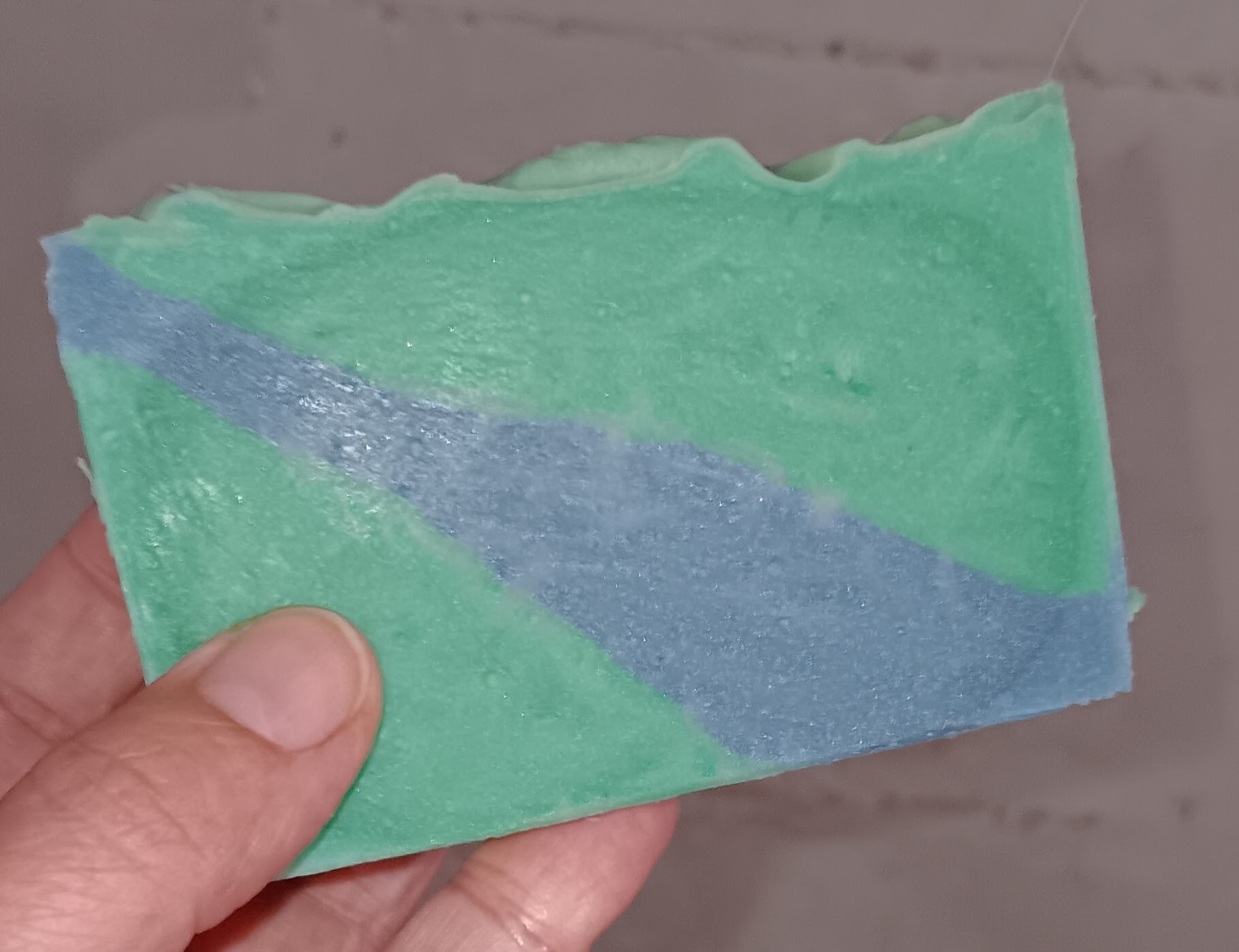 Shellabration - Leader