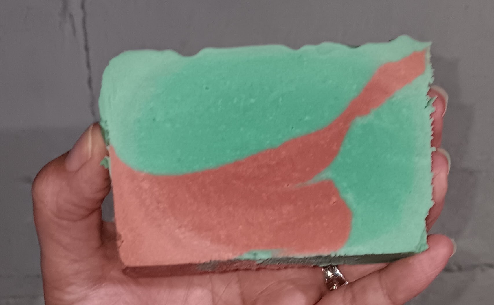 Shellabration - Warrior